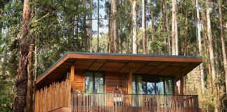 Rwanda Gorilla Trek Excursions 2025